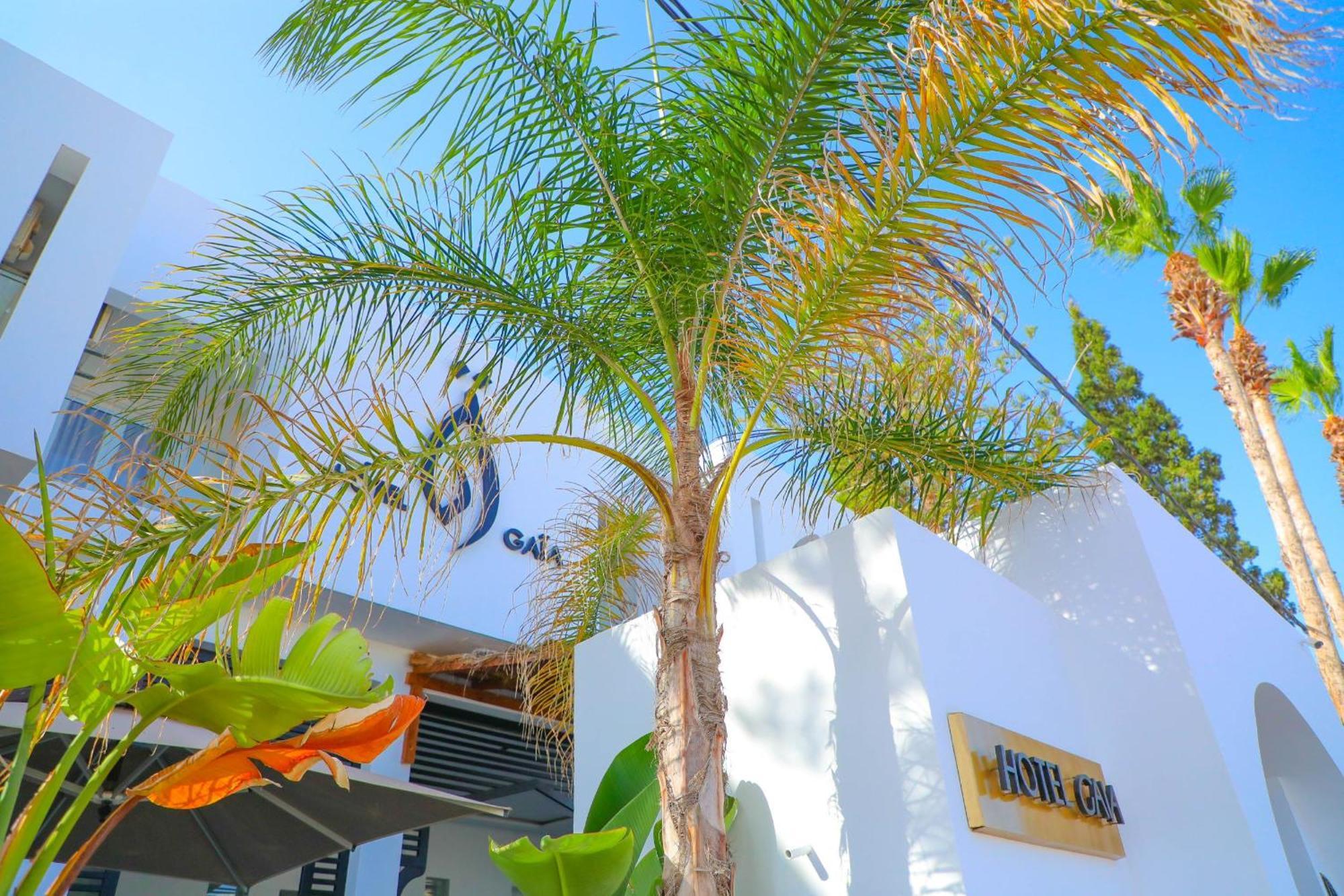 نزل قايا Hotel Gaia ナブール エクステリア 写真